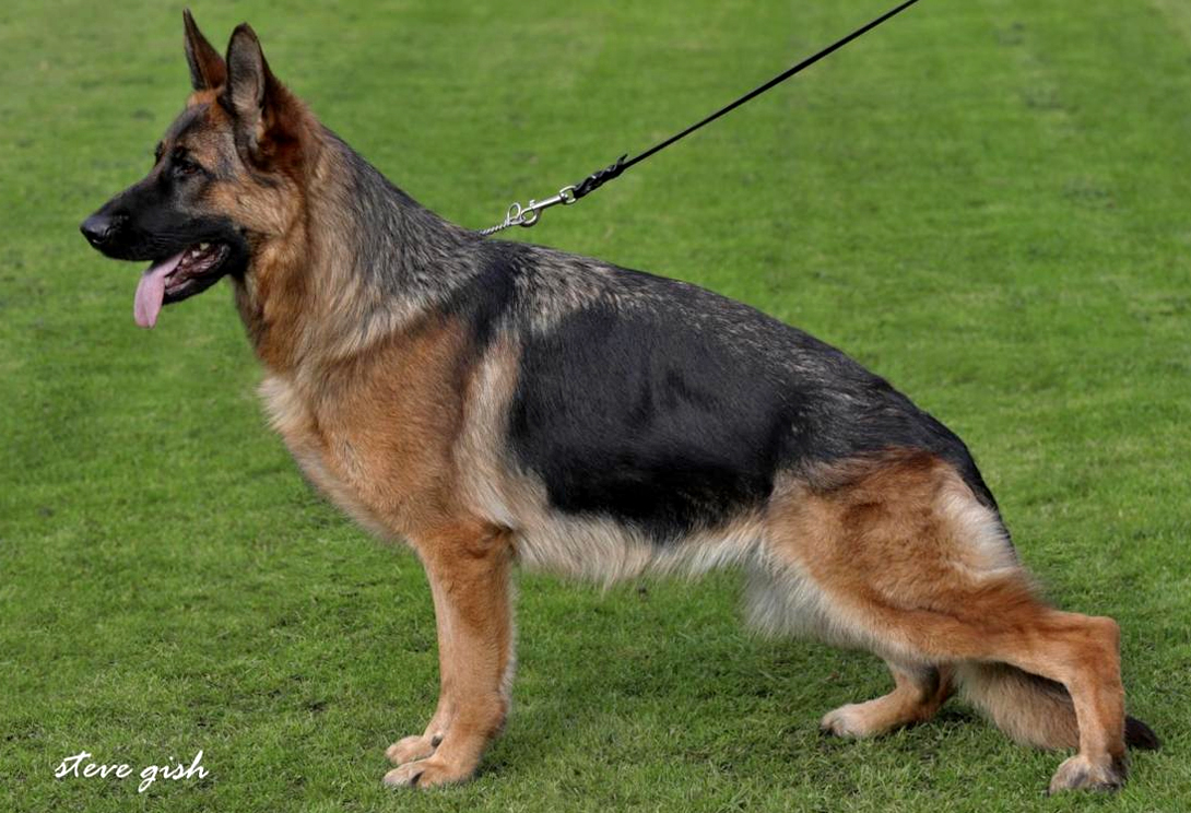 Johanna vom Kuckucksland