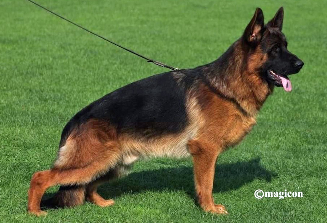 Bazooka de Casa Celta