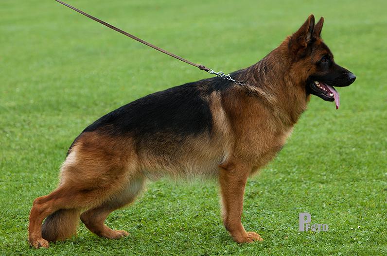 Vinston Team Marlboro