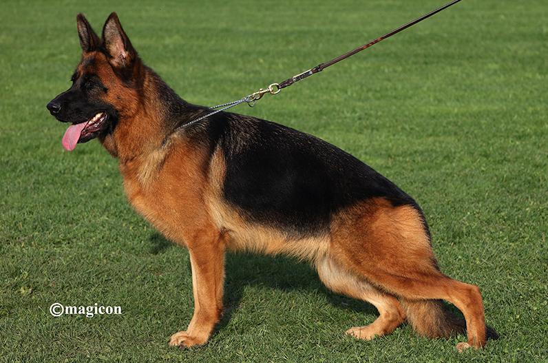 Peggy von der Karl-May Höhle