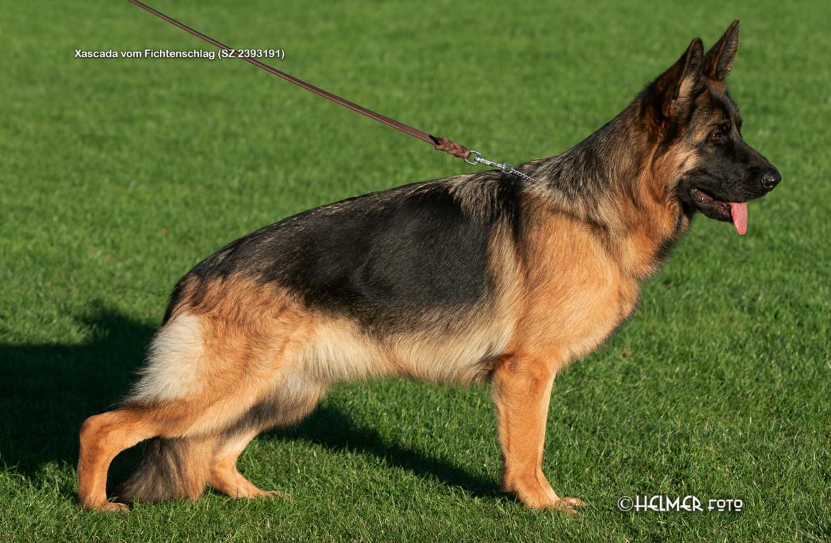 Xascada vom Fichtenschlag