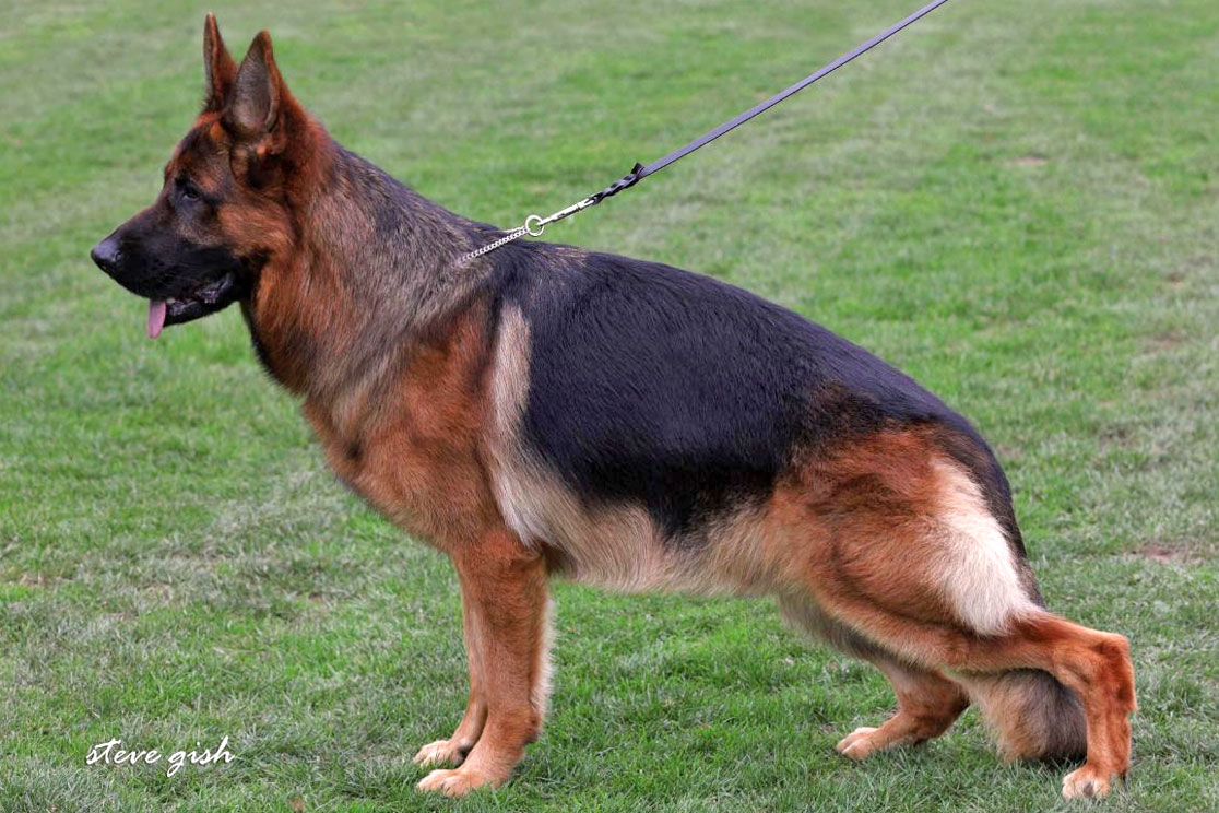 Yukar vom Hühnegrab