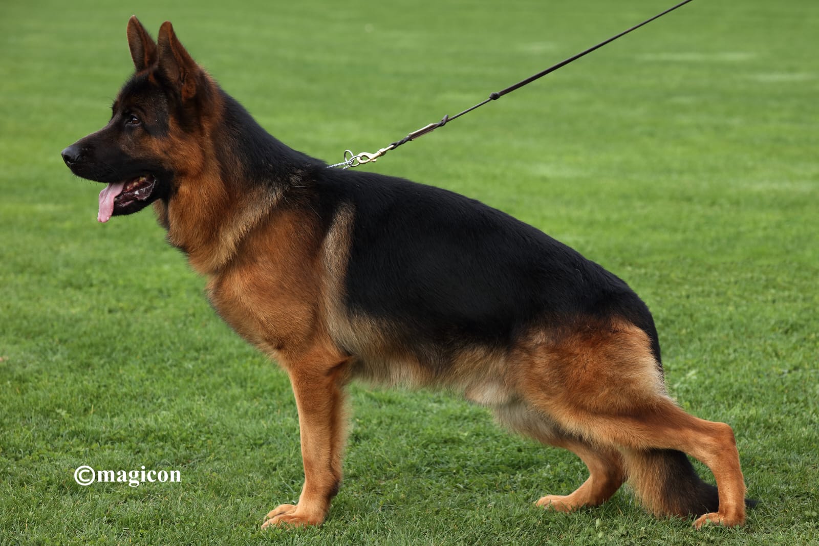 Tobi vom Team Geixenhof