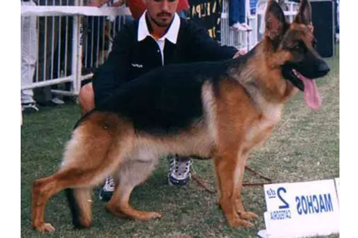 Jeremias von der Vier