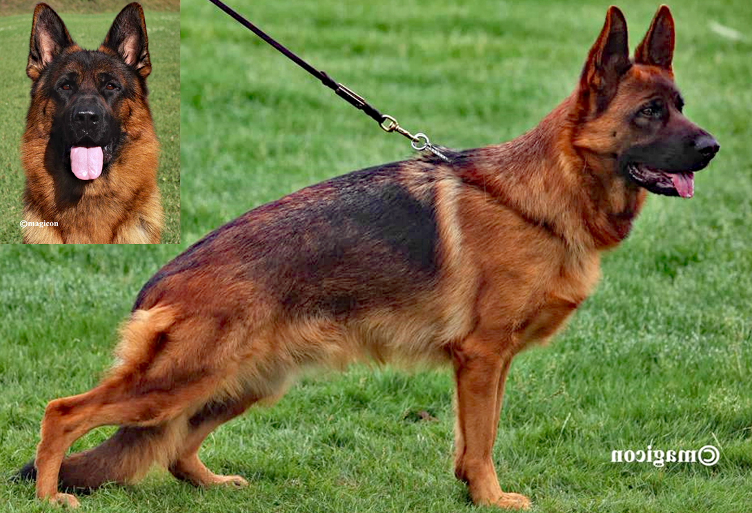 Vasca vom Osterberger-Land