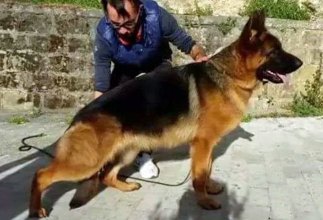 Isabeau di Casa Palomba