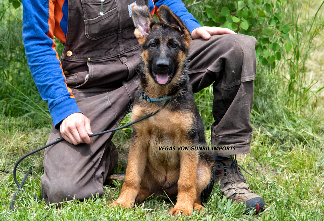 Vegas vom Osterberger-Land