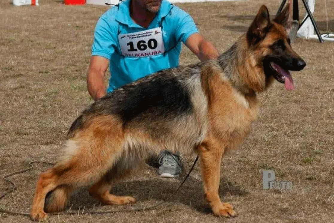 Bolivia Mi Roca Xorba