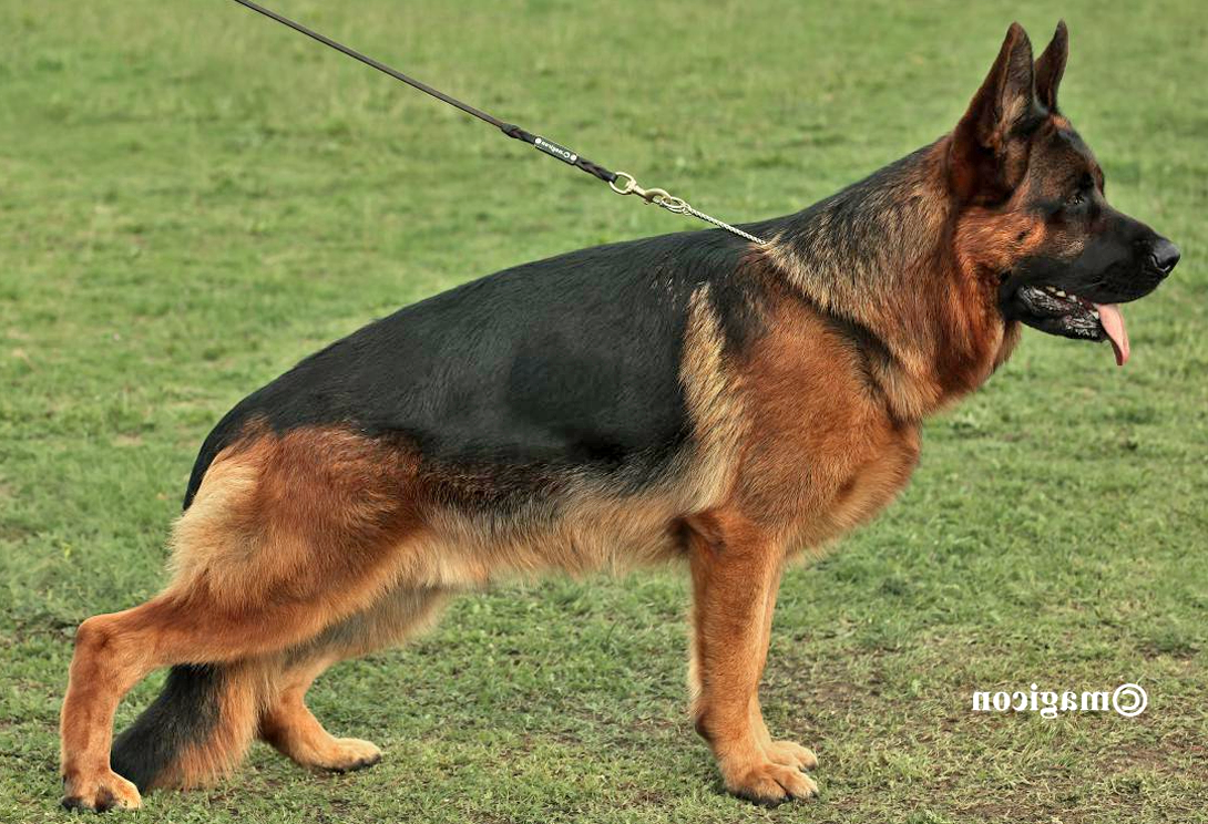 Carlo vom Tunariblick