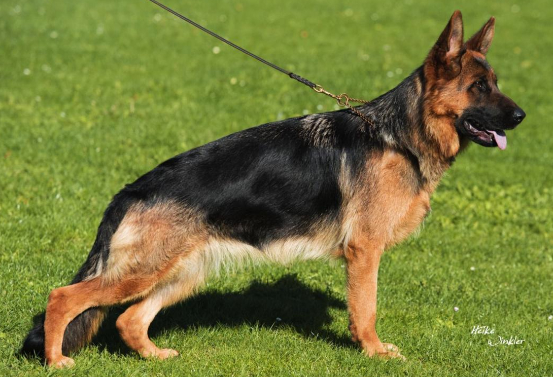 Palina vom Emkendorfer Park