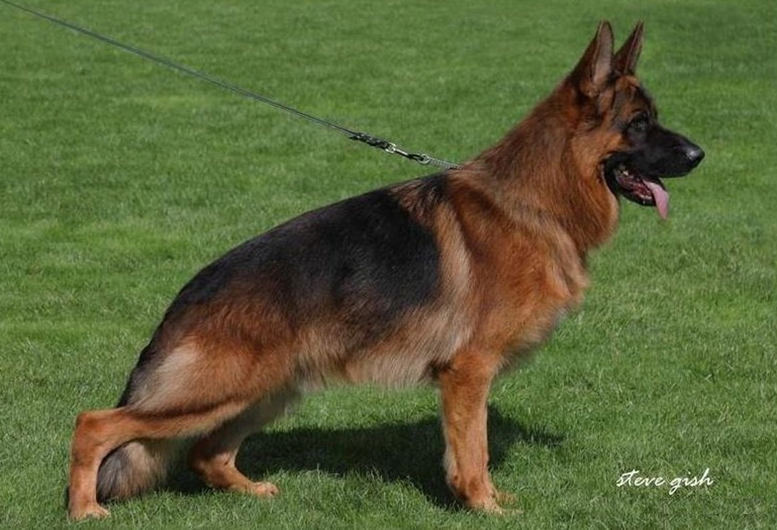 Raschano von Sankt Raphael